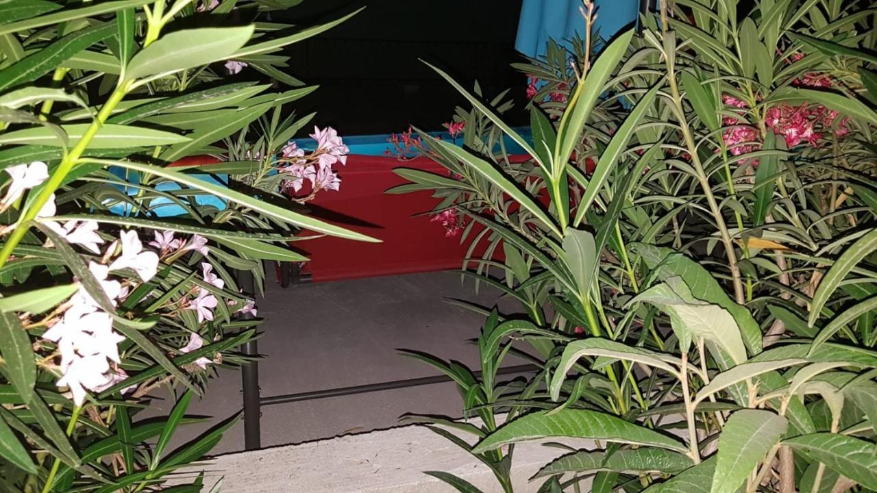 Apartments Star With Pool Biograd Na Moru Exterior foto