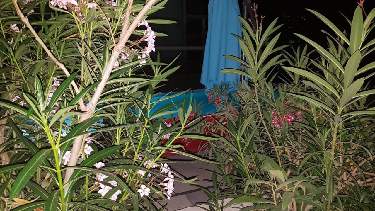 Apartments Star With Pool Biograd Na Moru Exterior foto